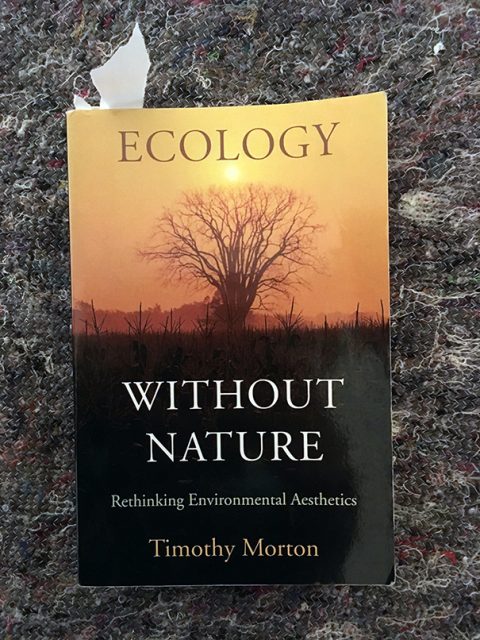 Ecology without Nature My